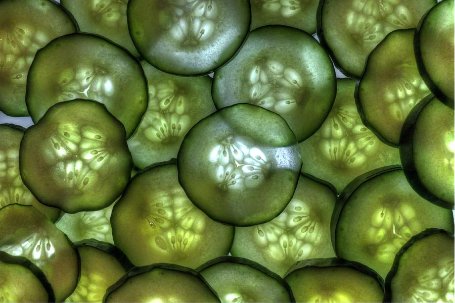 Cucumbers Photograph by Jane Linders