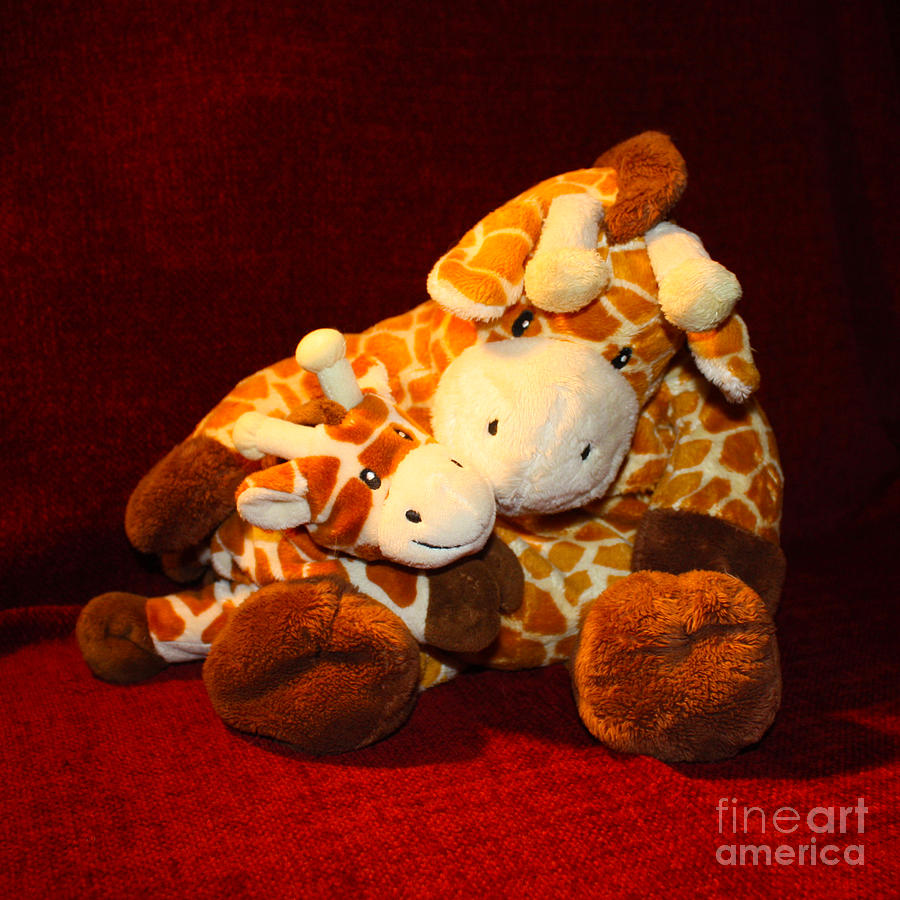 Cuddly Giraffe Photograph by Terri Waters
