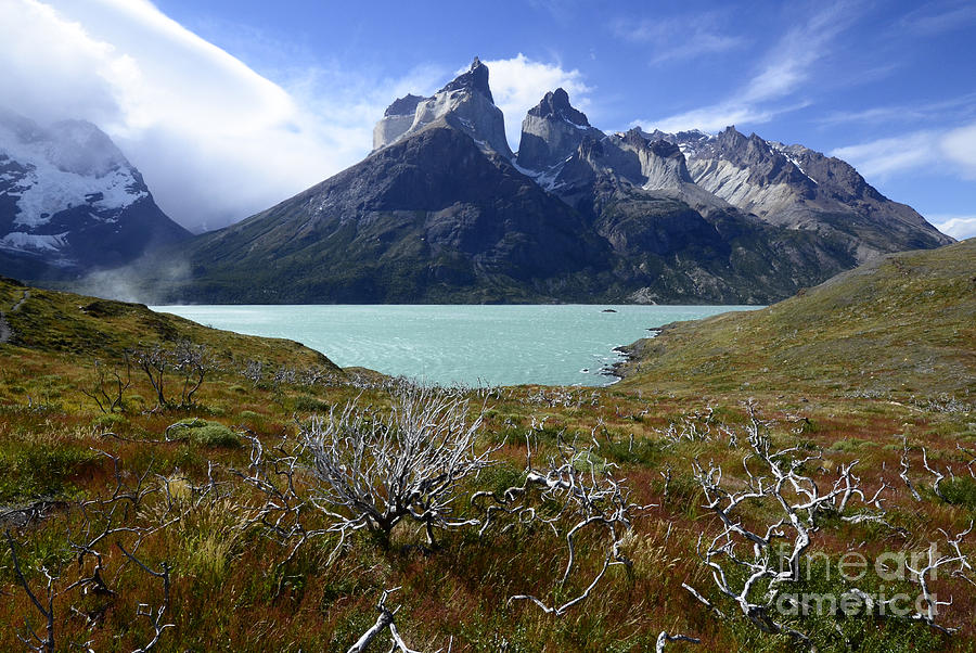 Cuernos del Paine Chile Photograph by Bob Christopher