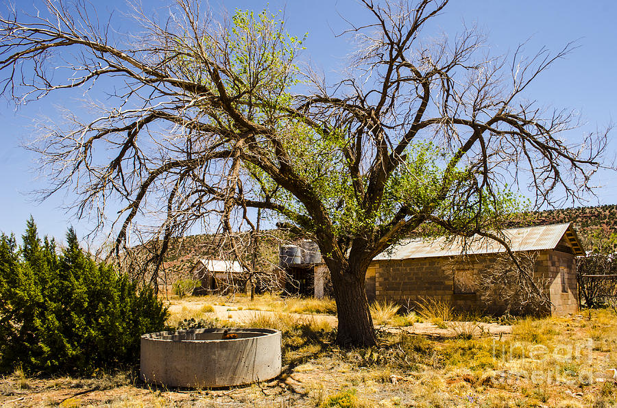 Cuervo New Mexico Ghost Town 11 Photograph by Deborah Smolinske