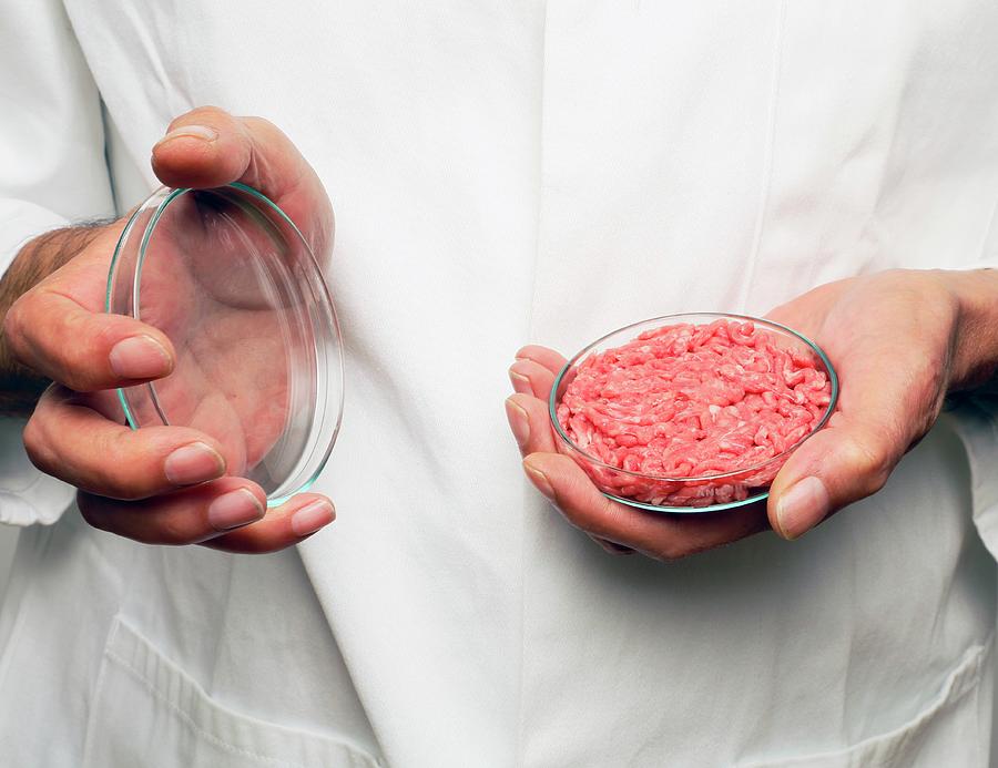 Cultured Meat Product Photograph by Victor De Schwanberg