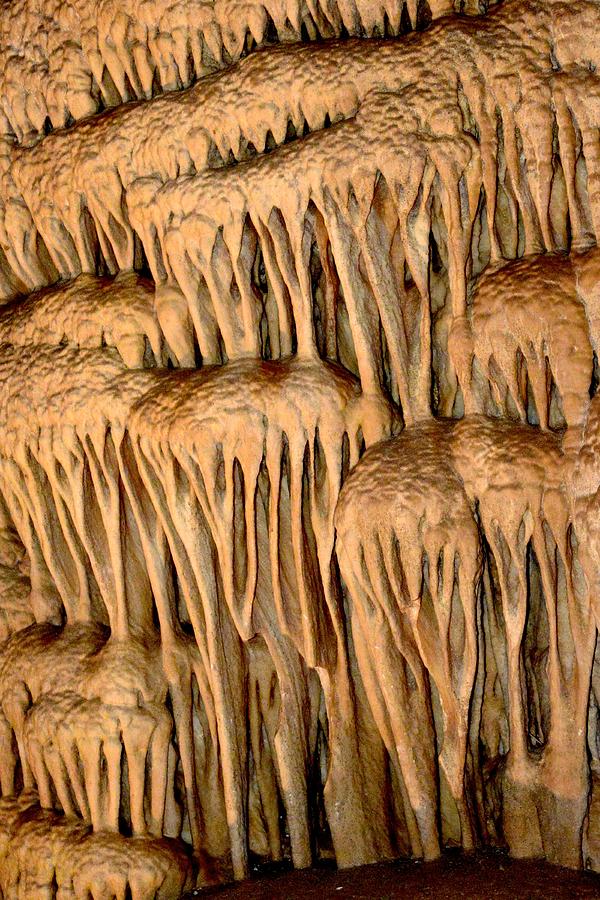 Cave Formation Photograph - Cumberland Caverns 3 by T C Brown