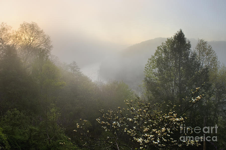 Landscape Photograph - Cumberland River Dawn - D008596 by Daniel Dempster