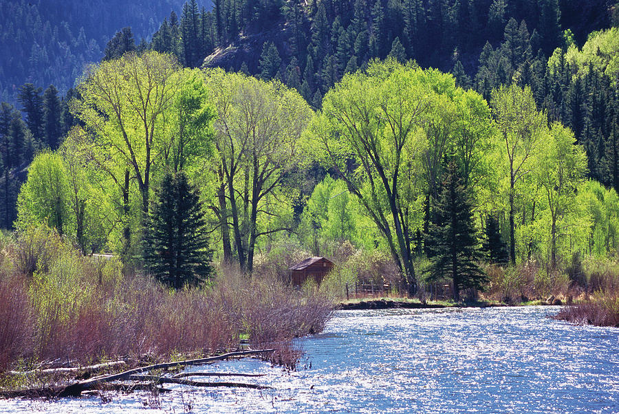 Cumbres River Photograph by James Steinberg