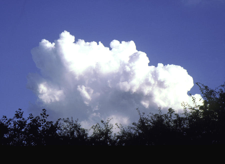 Cumulus Cloud by Robin Scagell/Science Photo Library