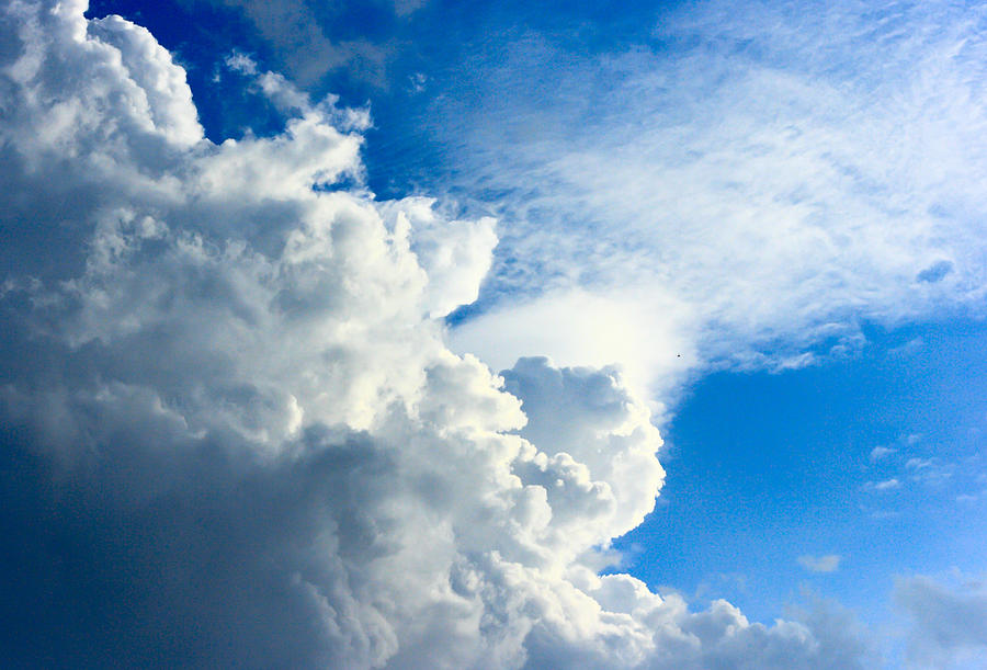 Cumulus Cloud Photograph by Virginia Folkman
