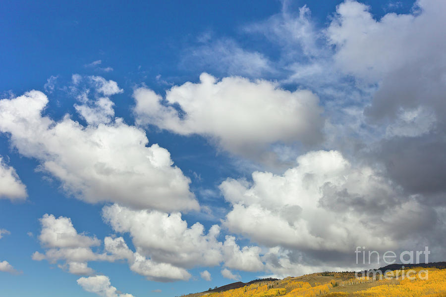 Cumulus Clouds And Aspens Photograph by Yva Momatiuk John Eastcott