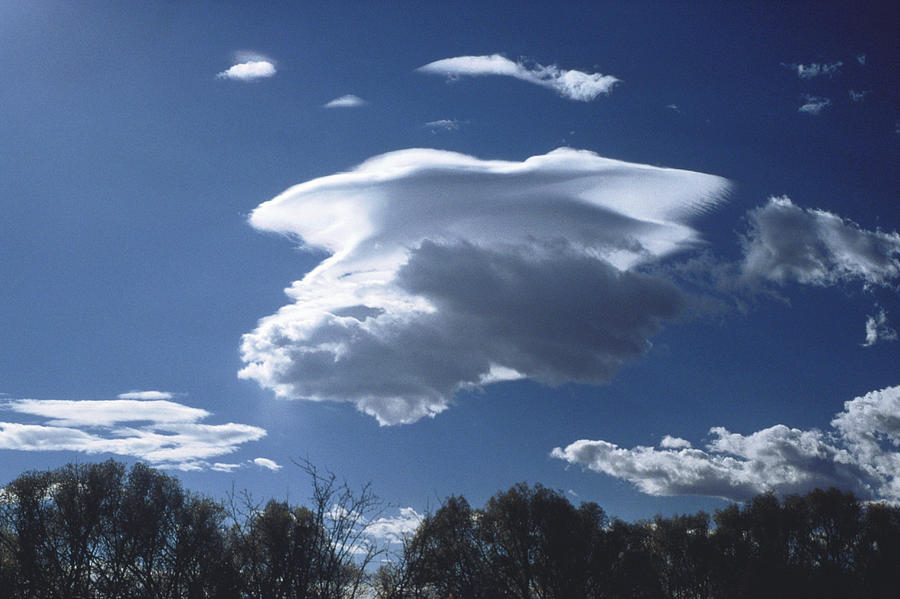 Cumulus Clouds Photograph by Howard Bluestein