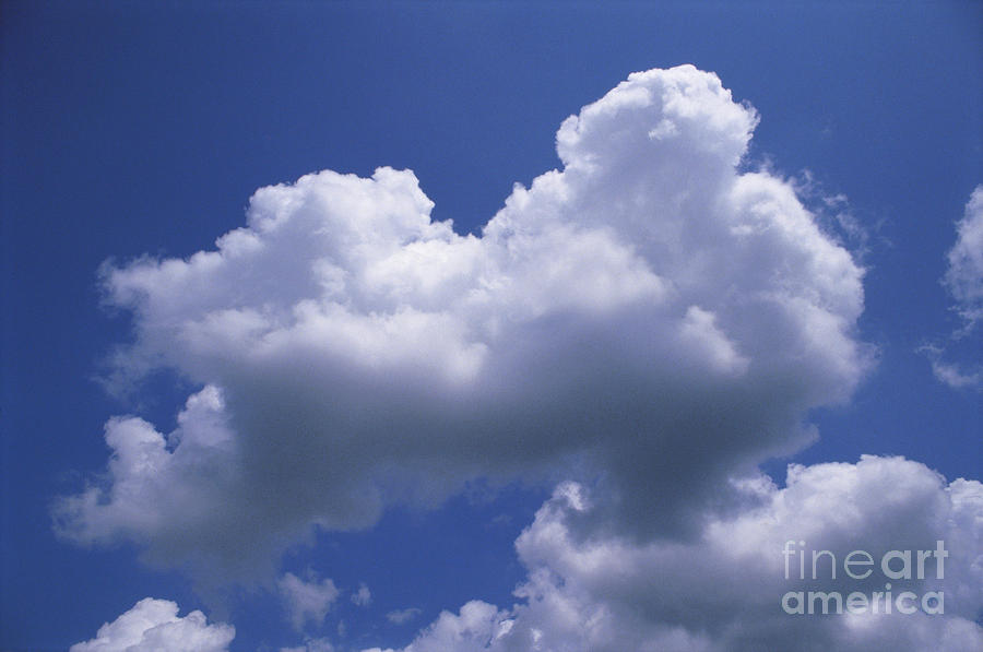 Cumulus Clouds Photograph by Karl G. Vock
