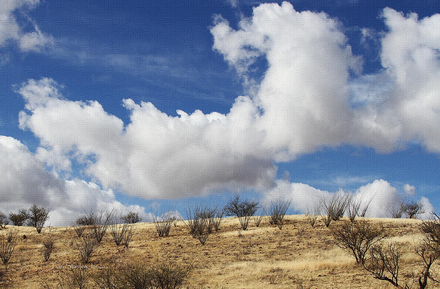 Cumulus Clouds Over The Grass And Ocotillo Photograph by Tom Janca