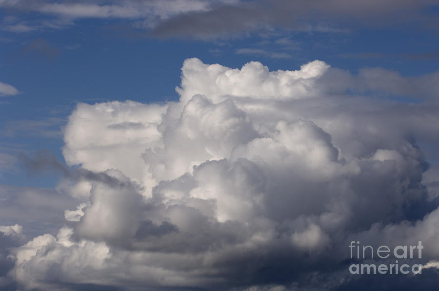 Cumulus Clouds Photograph by Ron Sanford