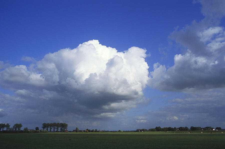 Cumulus Congestus Clouds Photograph by K. Van Den Berg