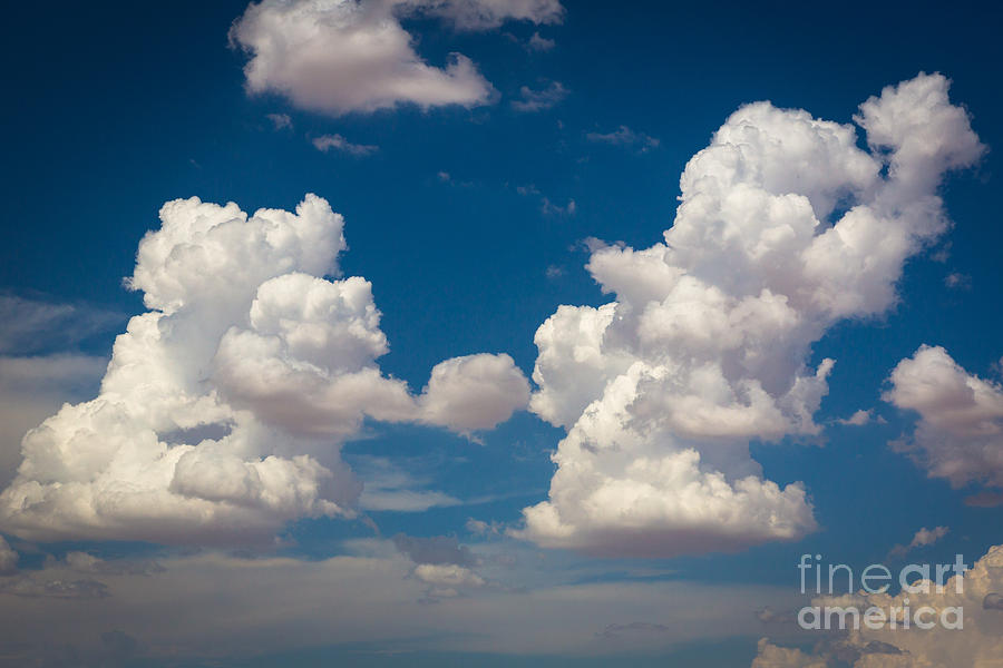 Cumulus Photograph by Inge Johnsson