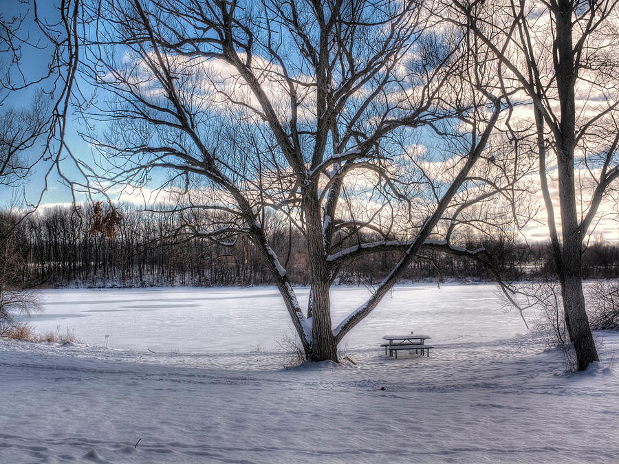 Cup of Joe Winter Stroll Photograph by Jenny Ellen Photography Fine