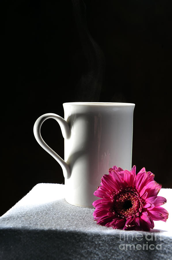 Valentines Day Photograph - Cup of Love by Randi Grace Nilsberg