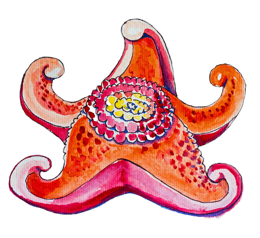Cupcake Starfish Painting by Kelly Smith