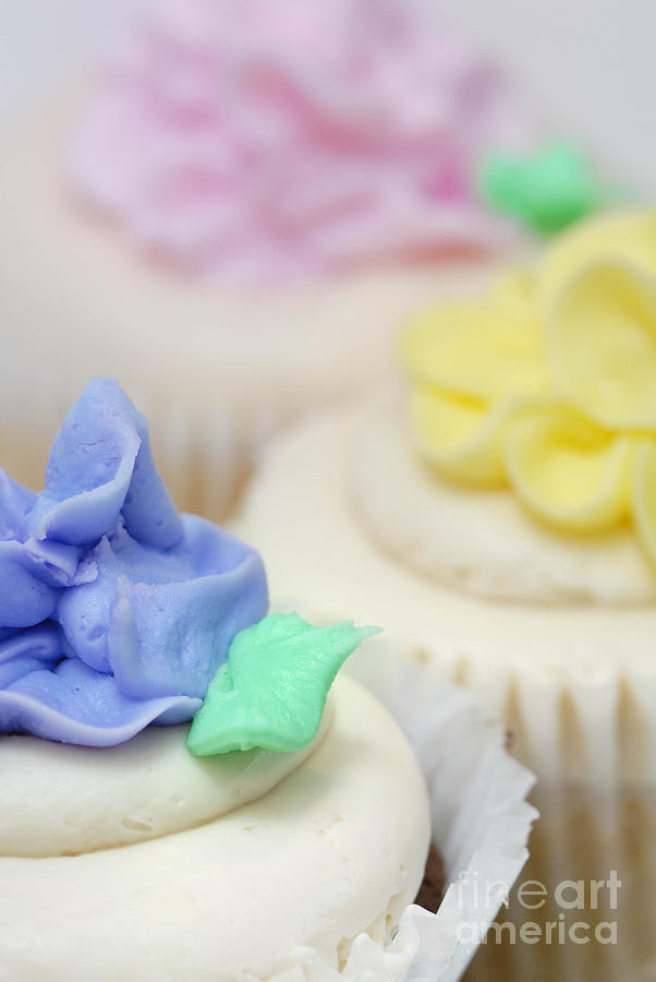 Cake Photograph - Cupcakes Shallow Depth of Field by Amy Cicconi