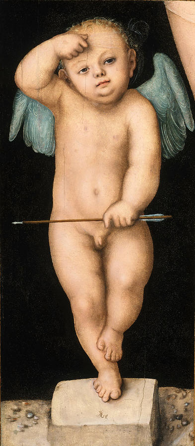 Cupid Painting by Lucas Cranach the Elder