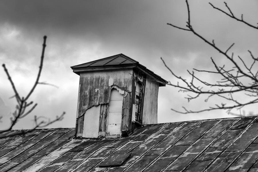Cupola Weathered Photograph by Guy Whiteley