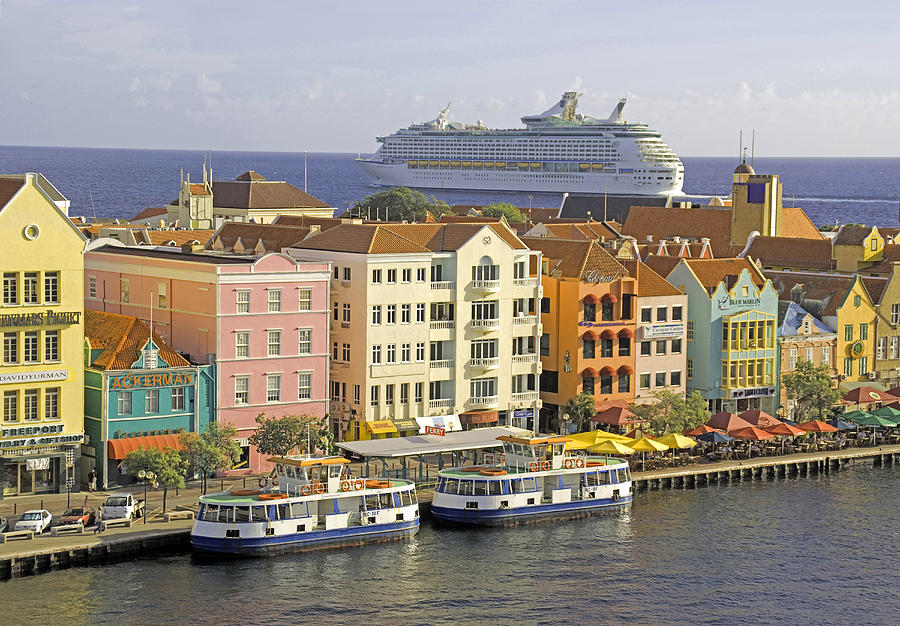 Curacao cruisers Photograph by Dennis Cox