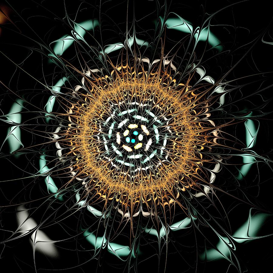 Curious Moth Digital Art by Anastasiya Malakhova