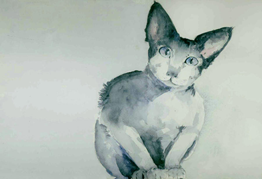 Cat Painting - Curious by Susan Semenick