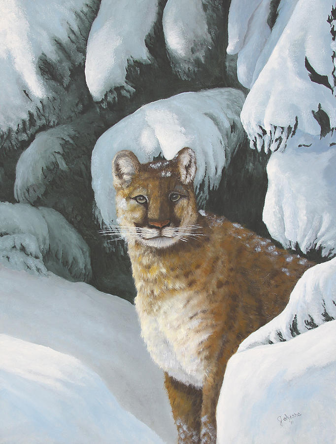 North American Wildlife Painting - Curious Watcher - Cougar by Johanna Lerwick