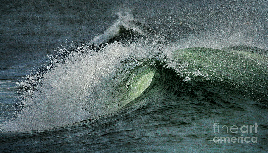 Nature Photograph - Curl of the Wave by Deborah Benoit