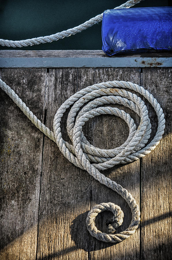 Curled Rope Photograph by Nadine Swart