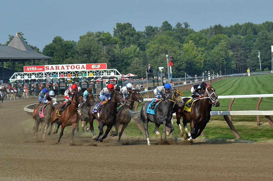 2014 Curlin Stakes Photograph by William Stephen Fine Art America