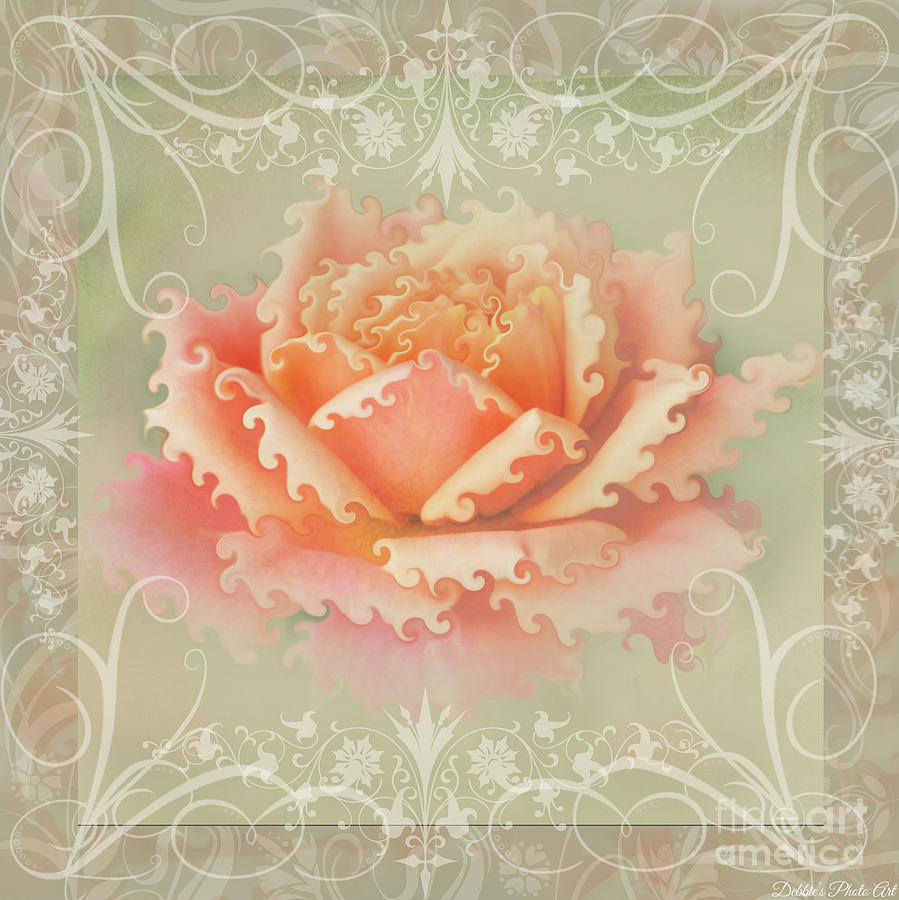 Curlyicue Peach Rose with flourshis   square Photograph by Debbie Portwood