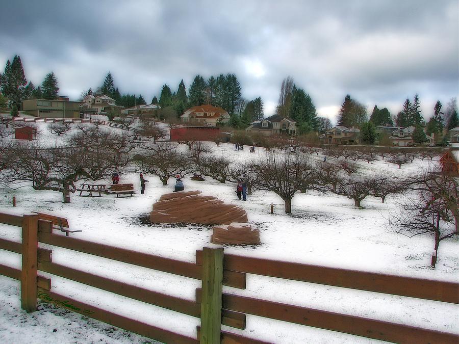 Holiday Photograph - Curran Apple Orchard In Orton by Chris Anderson