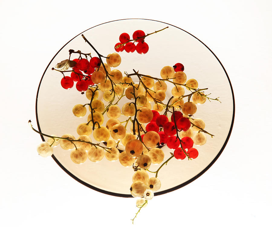 Currants on a plate Photograph by Vitaliy Gladkiy