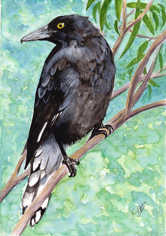 Currawong Painting by Anne Gardner