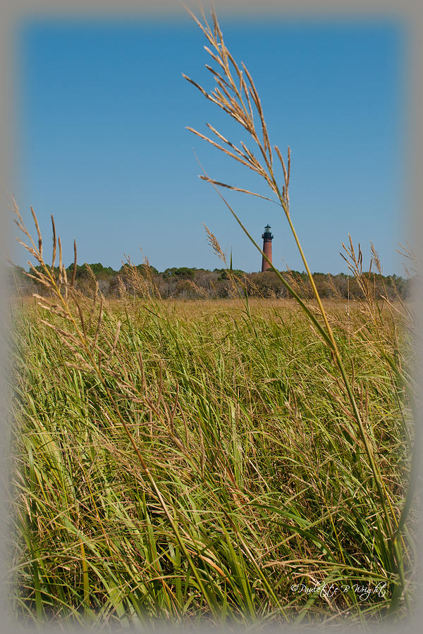 Currituck Lighthouse Through The Marsh Grass Photograph by Paulette B Wright