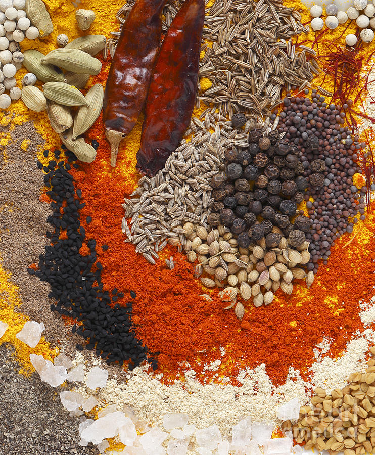 Curry Spices Vertical Photograph by Paul Cowan