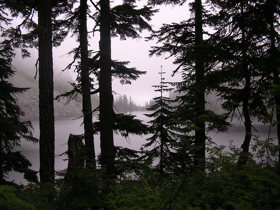 Lake Valhalla Photograph - Curtained Beyond by Tom Trimbath Lake Valhalla Photograph - Curtained Beyond by Tom Trimbath