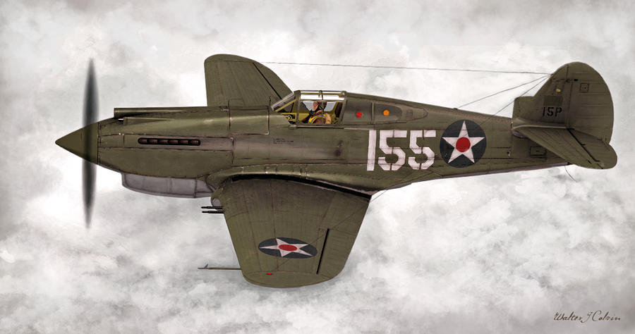 Curtiss P-40 Warhawk Digital Art by Walter Colvin