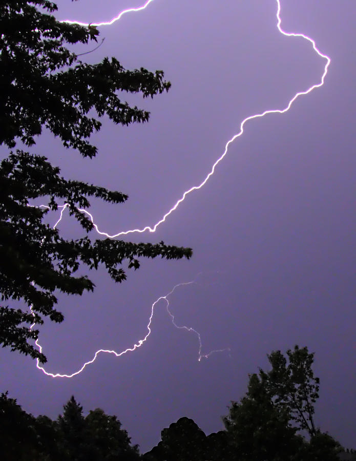 Curved Lightning Photograph by Deborah Smolinske