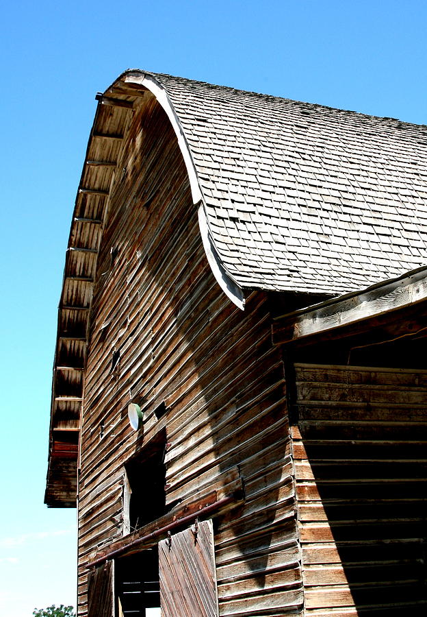 Curved roof barn Photograph by Stanley Secretan - Pixels