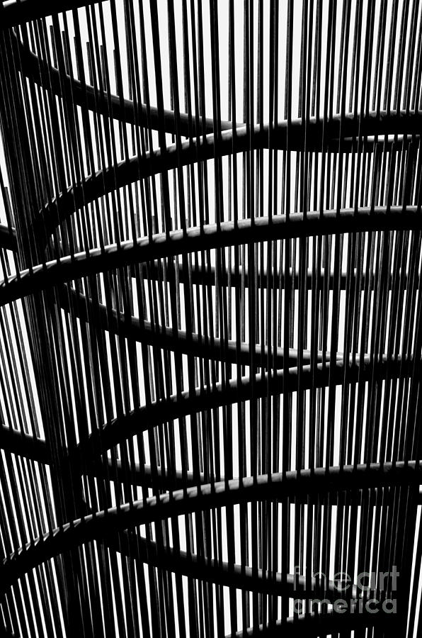 Curves and Lines 2 Photograph by Newel Hunter
