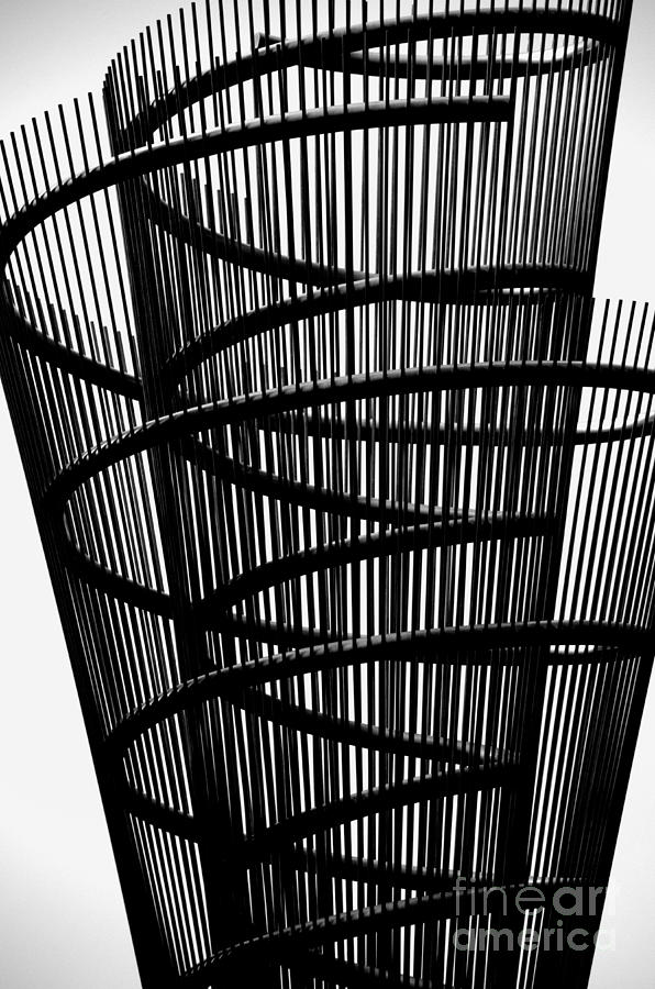Curves and Lines3 Photograph by Newel Hunter