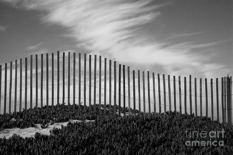 Fenceline Photograph by Timothy Johnson