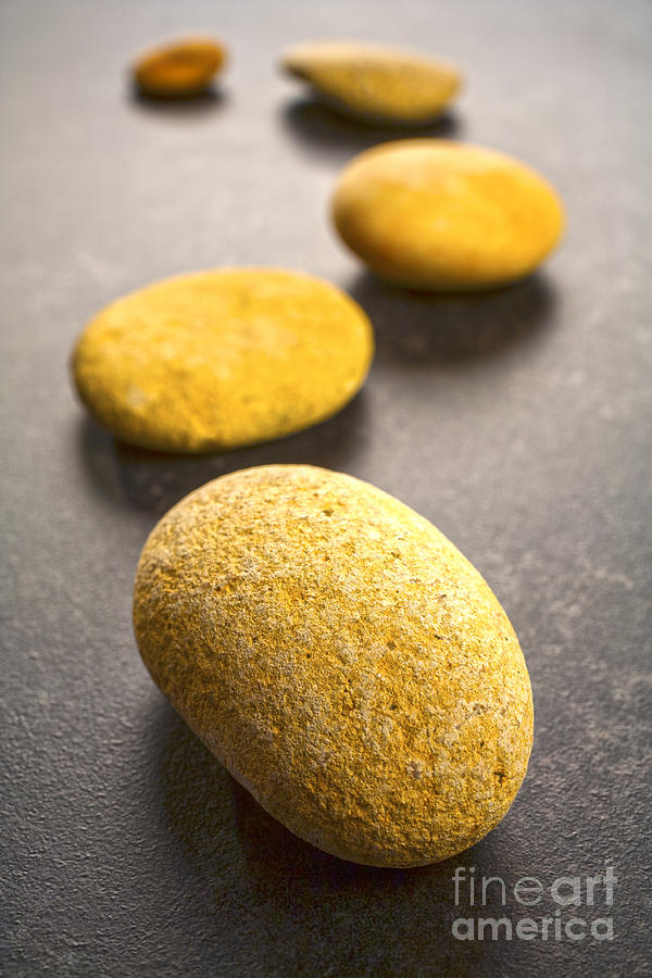 Curving Line of Stones Pebbles on Dark Background Vertical Photograph by Colin and Linda McKie