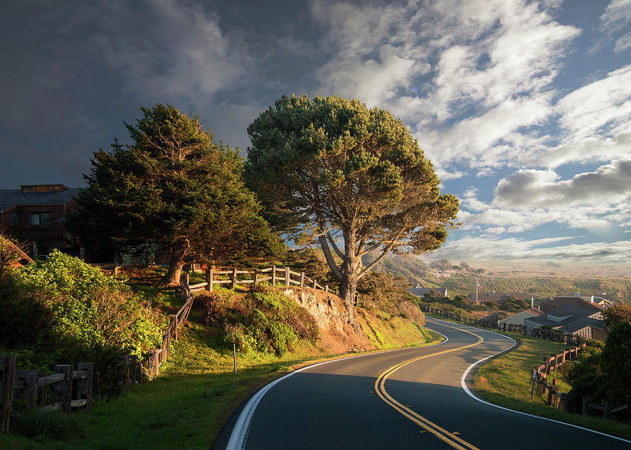 Curving Road, Late Afternoon Photograph by Ed Freeman