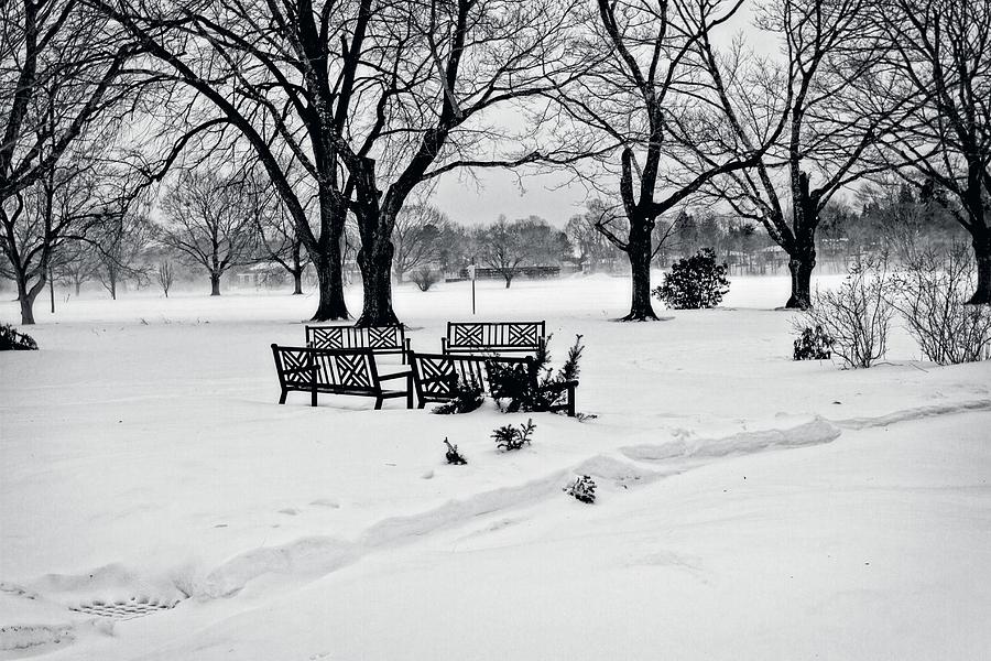Cushing Park Winter 2013 Photograph by John Hoey