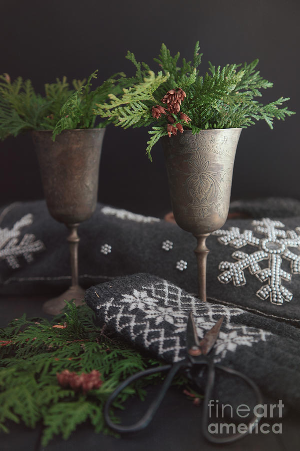 Cut cedar in old wine goblets for holiday decoration Photograph by Sandra Cunningham