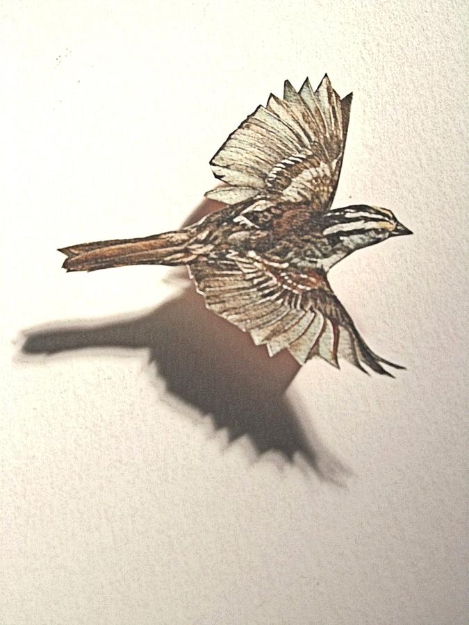 Cut Out Sparrow Painting by Alfred Ng