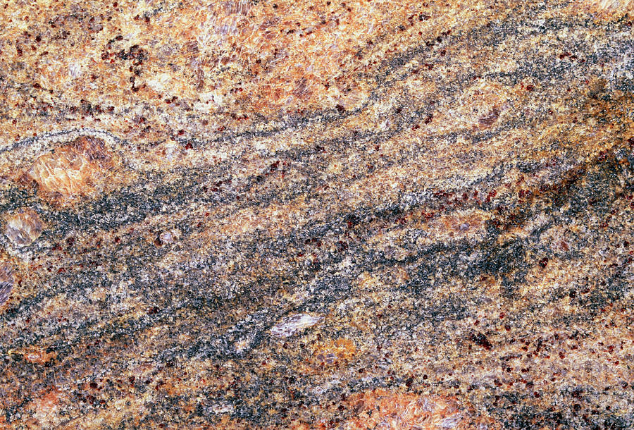 Cut Surface Showing Granite Invading Gneiss Photograph by George Bernard/science Photo Library