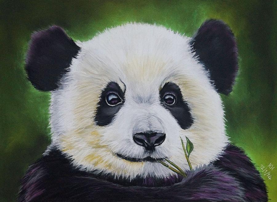 Stained Glass Cute Baby Panda Tumbler Graphic by mariespeedmvd76 · Creative  Fabrica